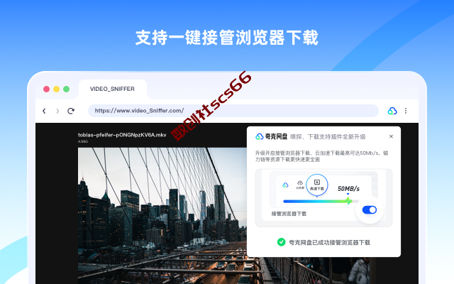 插件截图