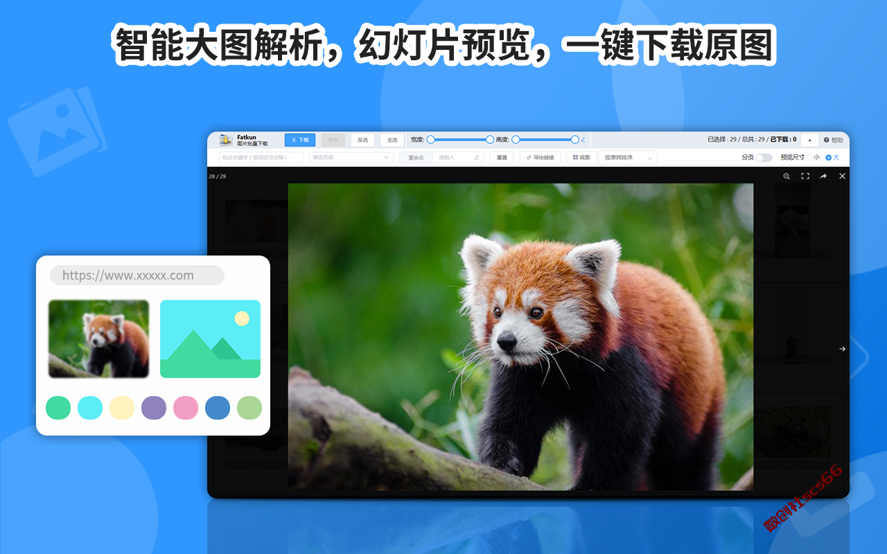 插件截图