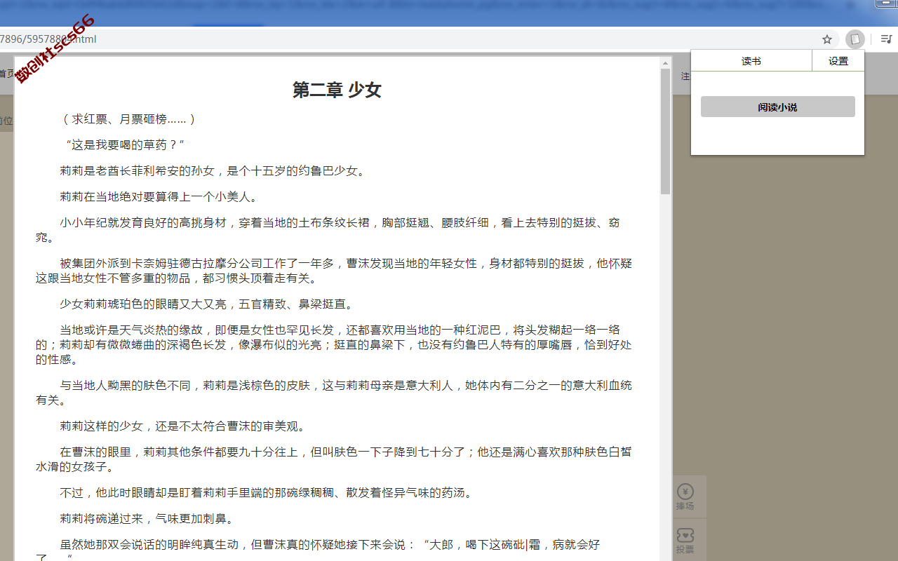 插件截图