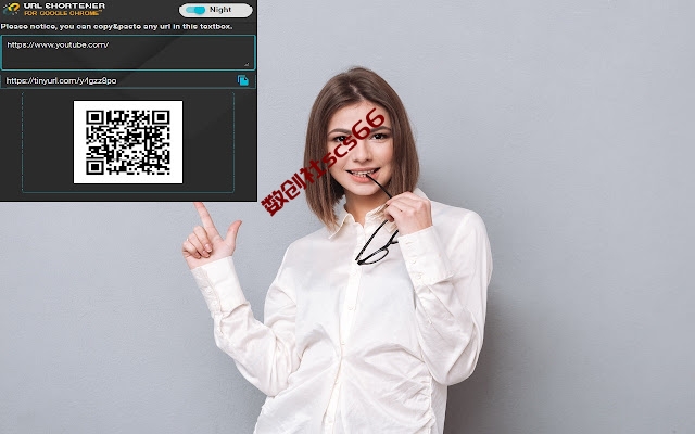 插件截图