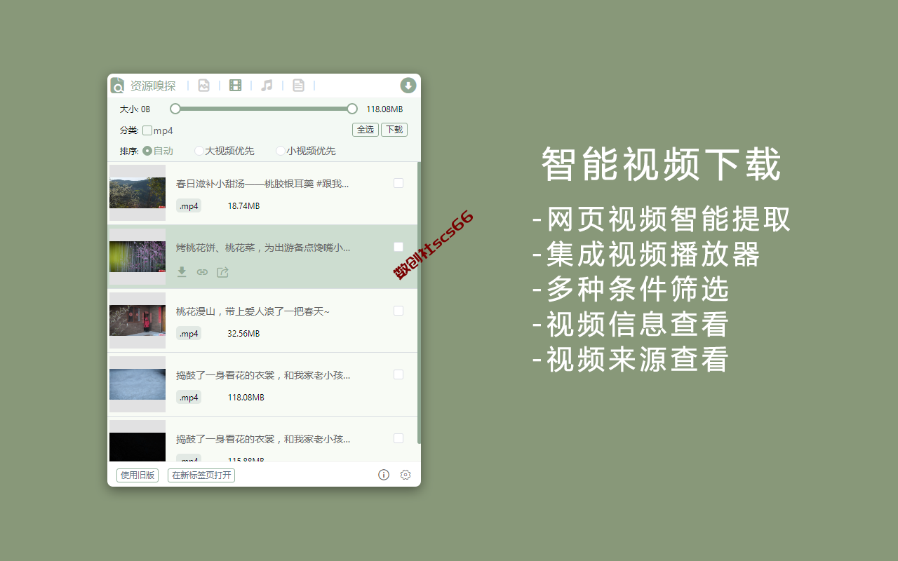 插件截图