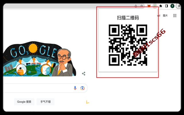插件截图
