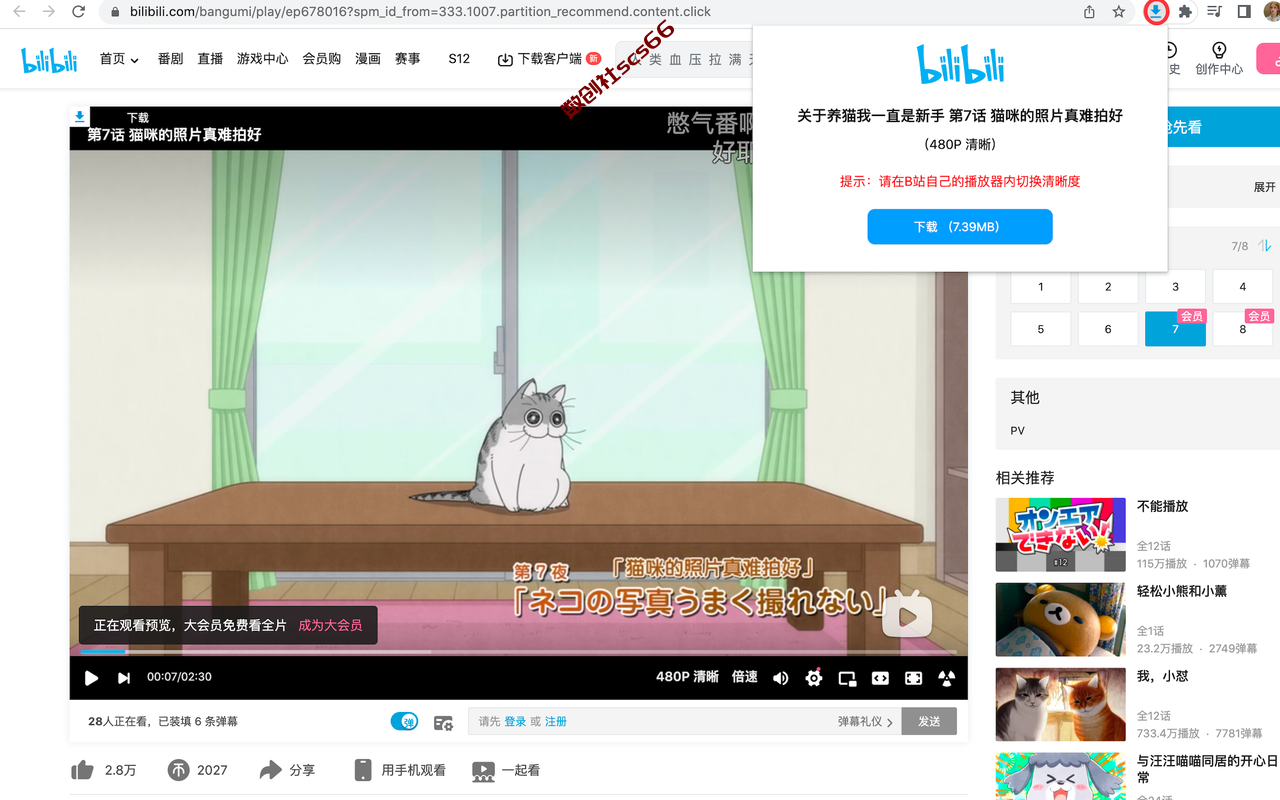 插件截图