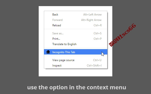 插件截图