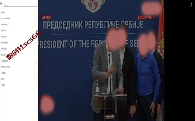 插件截图