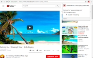 插件截图