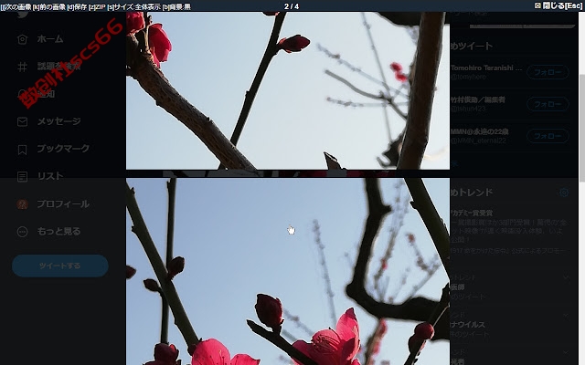 插件截图