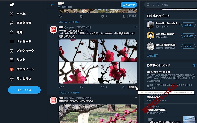 插件截图