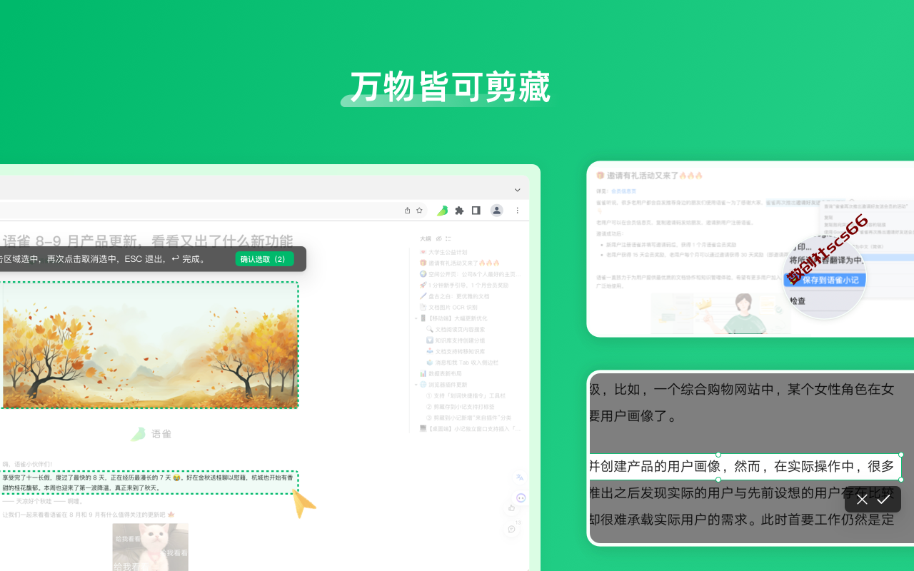 插件截图