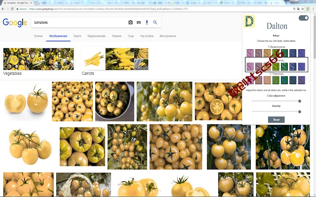 插件截图