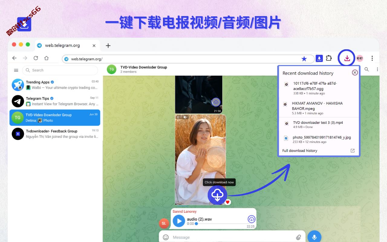 插件截图