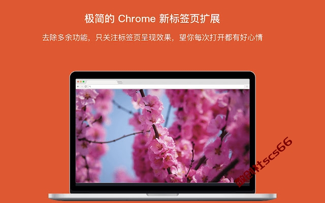 插件截图