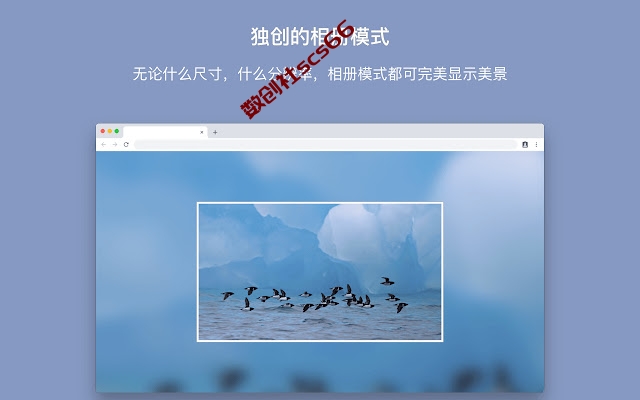 插件截图