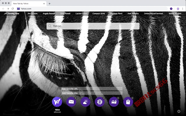 插件截图
