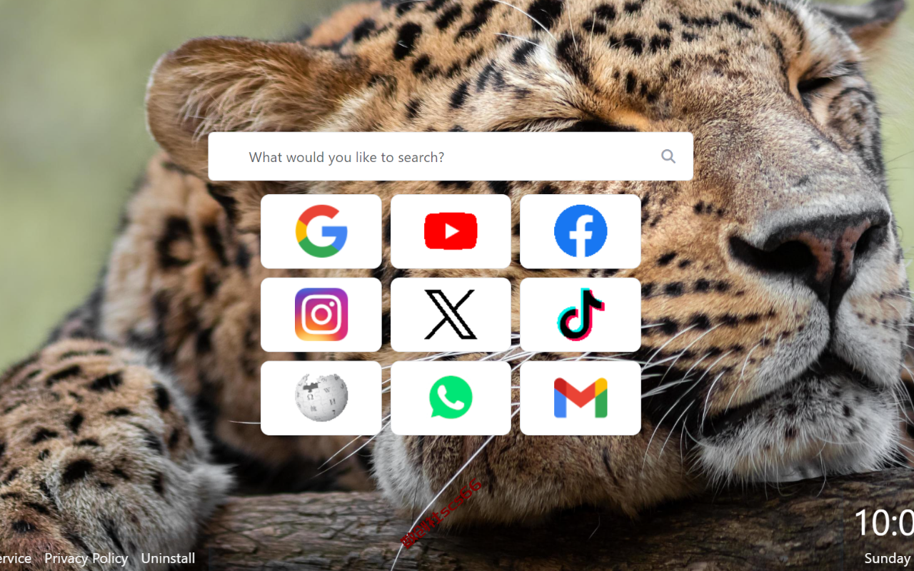 插件截图