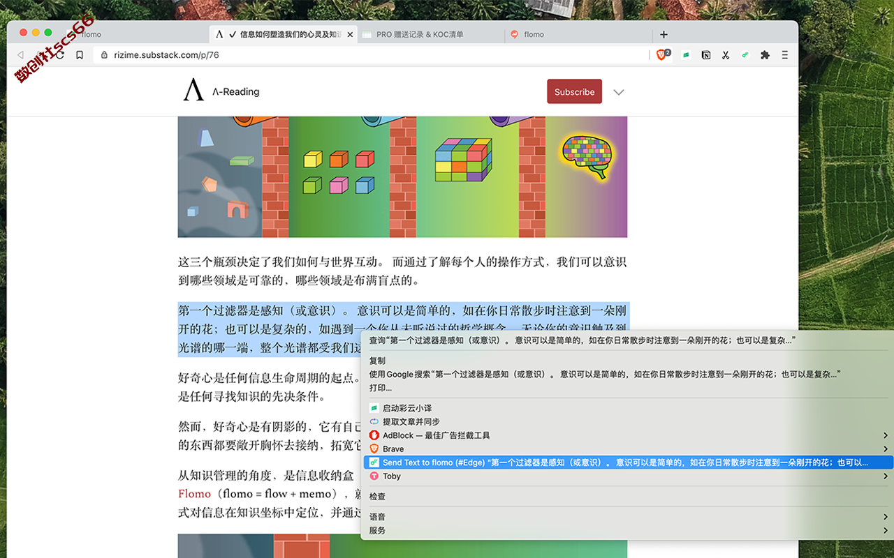 插件截图