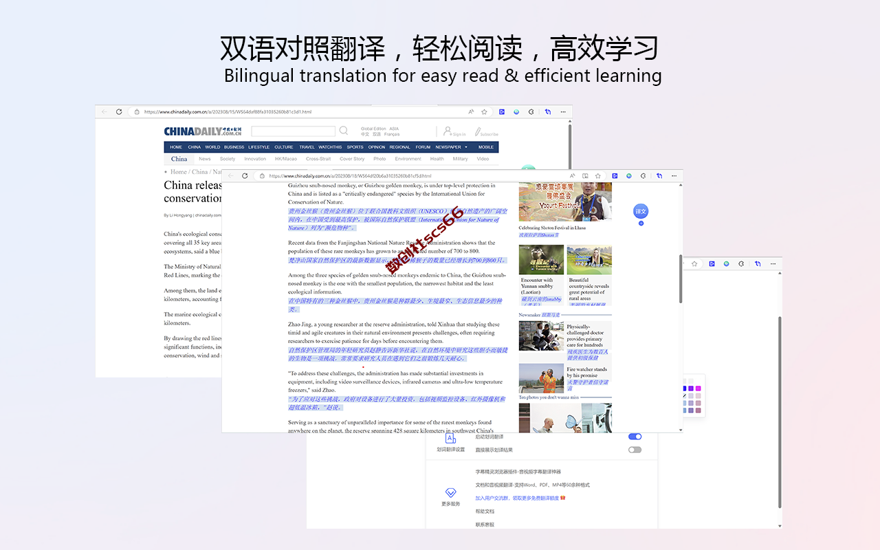 插件截图