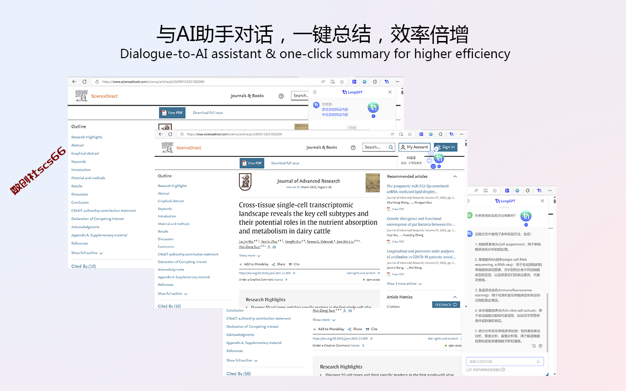 插件截图
