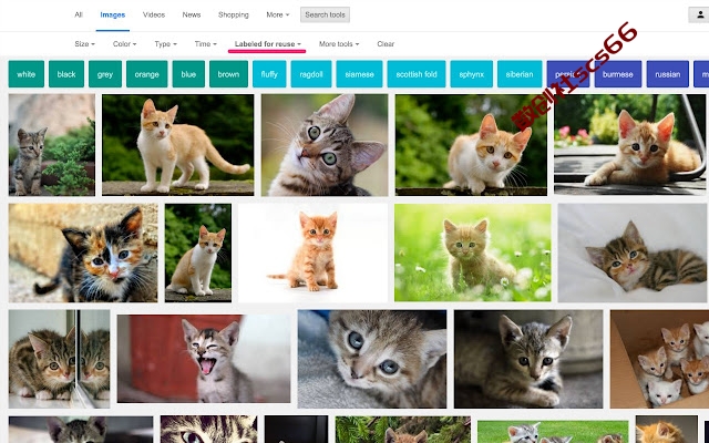 插件截图