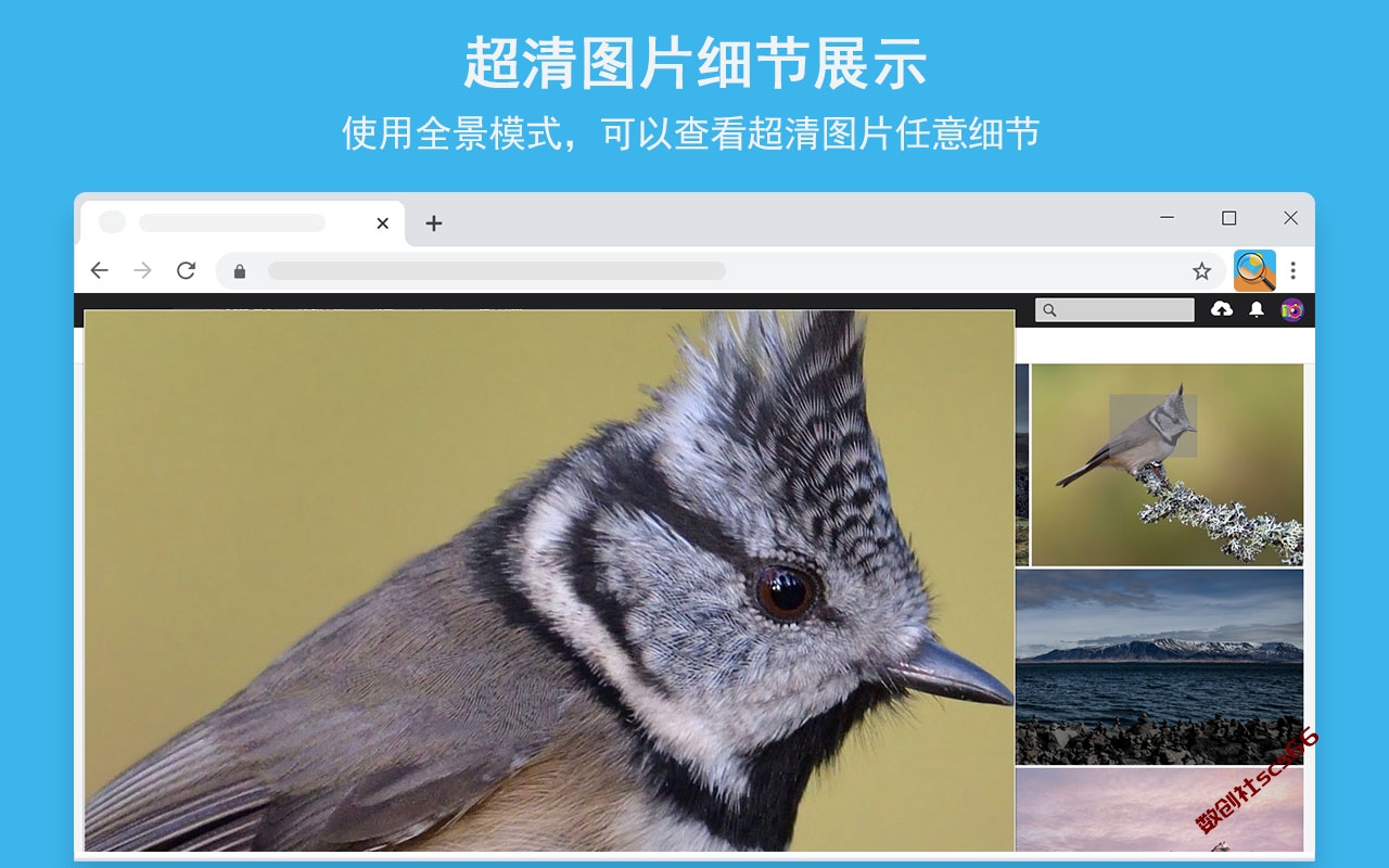 插件截图
