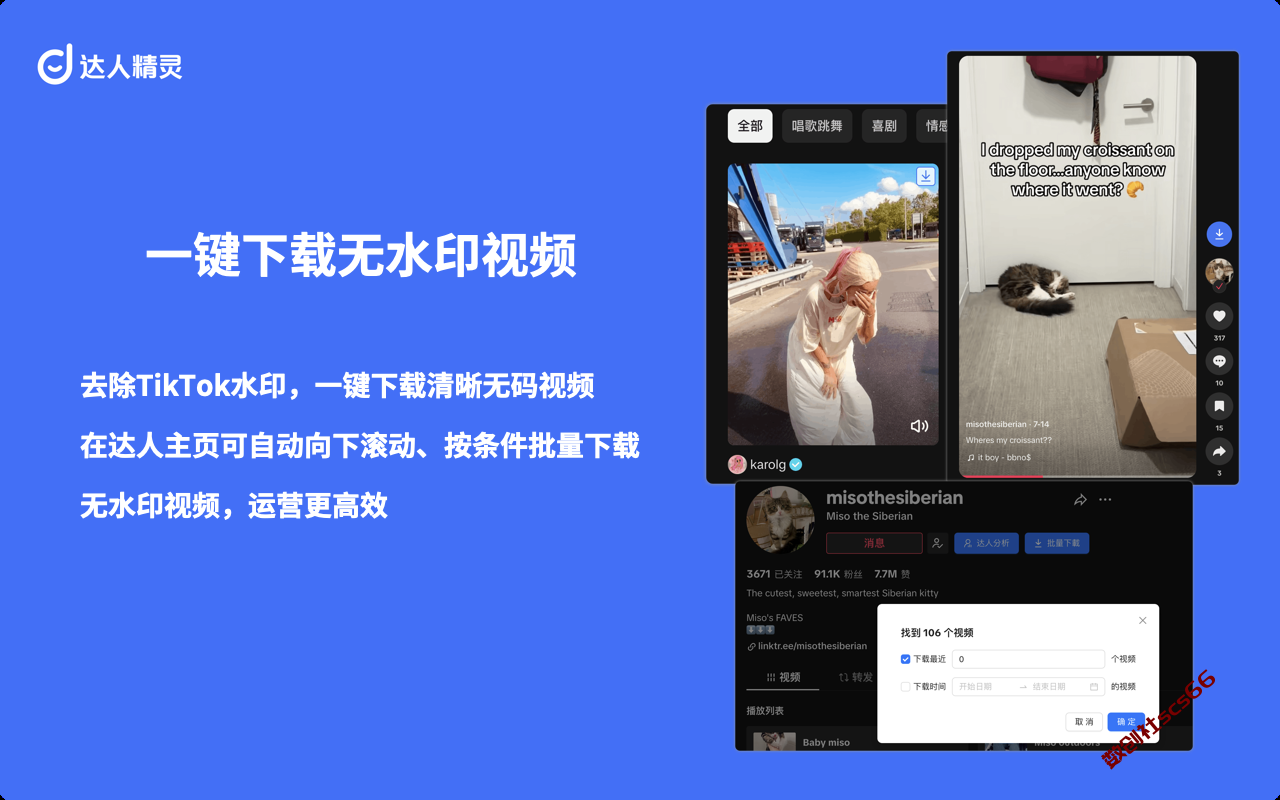 插件截图