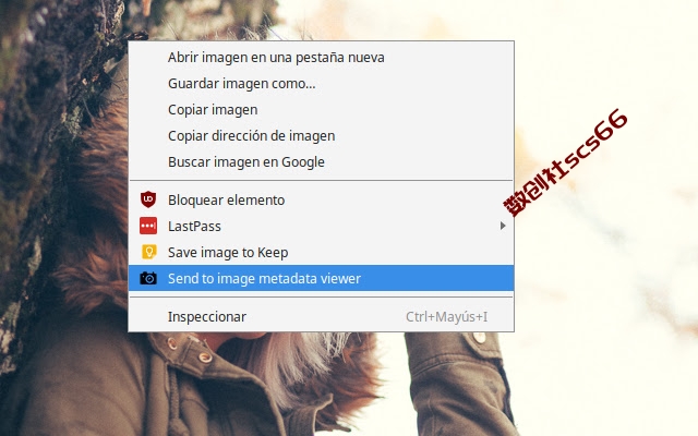 插件截图