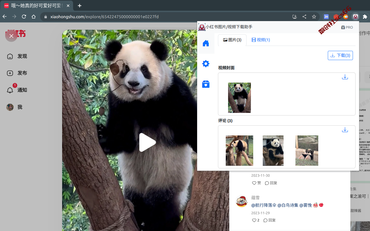 插件截图