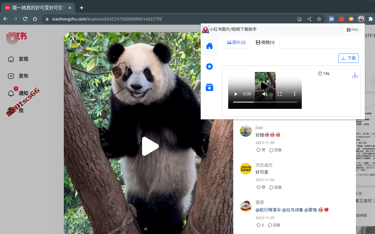 插件截图