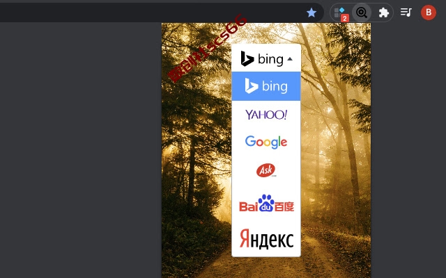 插件截图