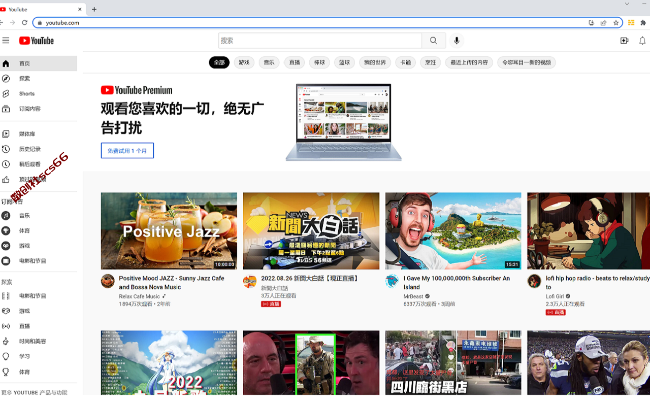 插件截图
