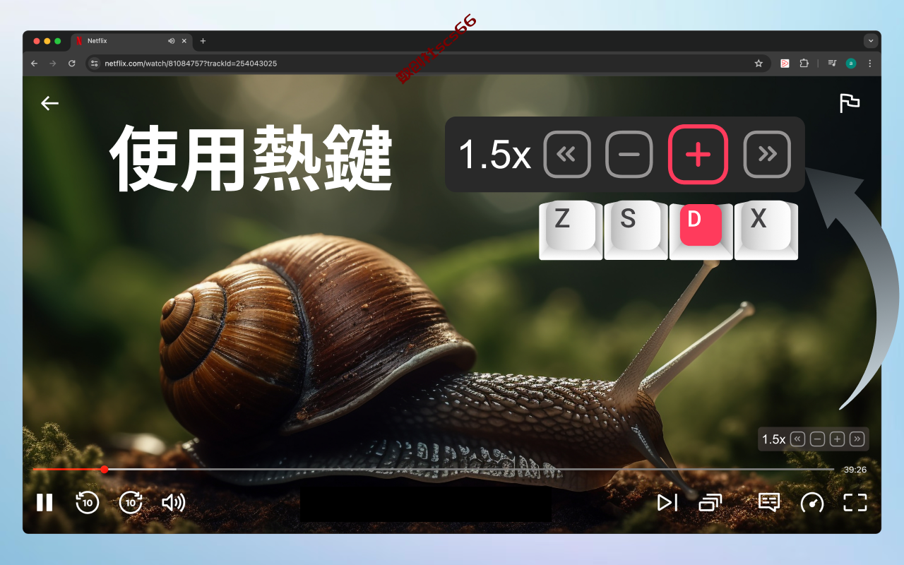 插件截图