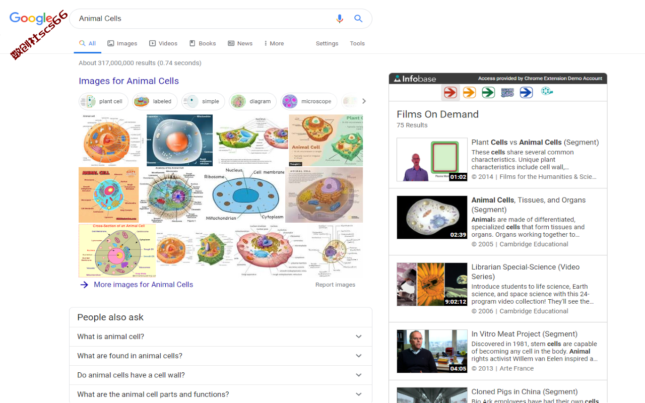 插件截图