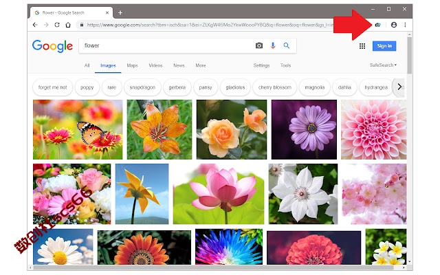 插件截图