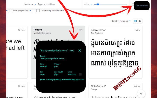 插件截图