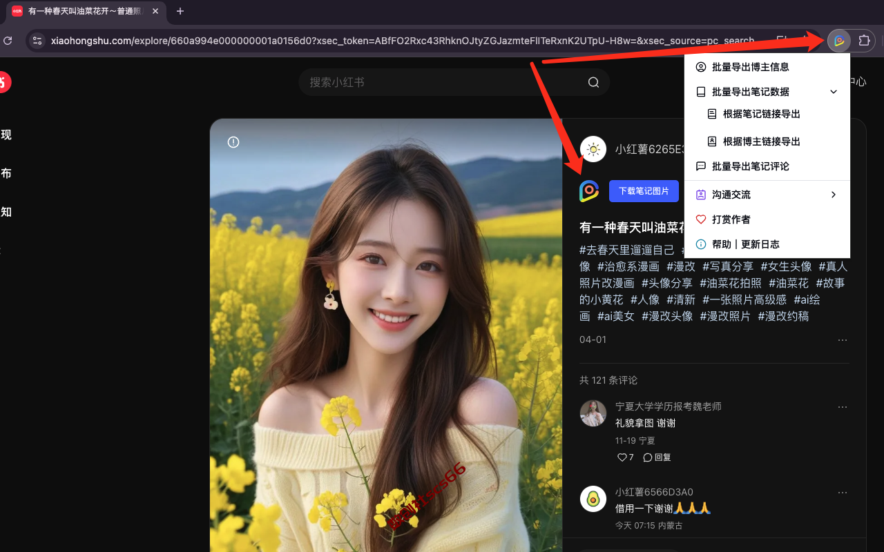 插件截图
