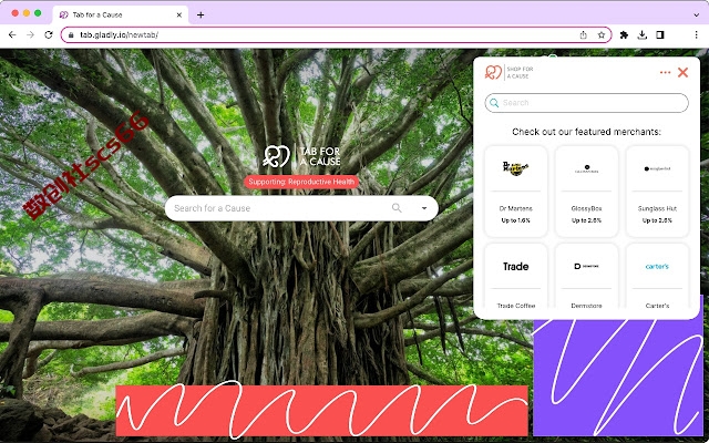 插件截图