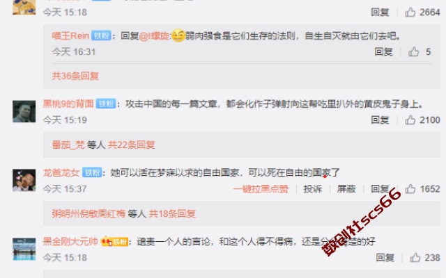 插件截图