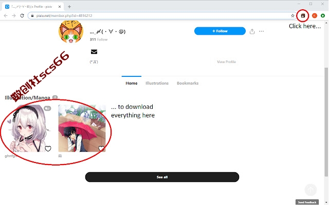 插件截图