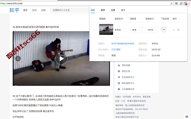 插件截图