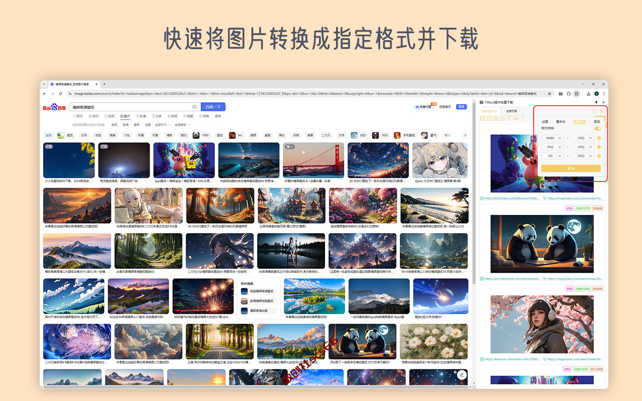 插件截图