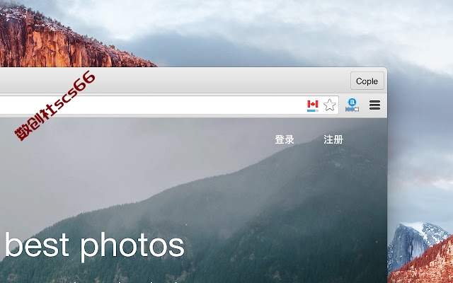 插件截图